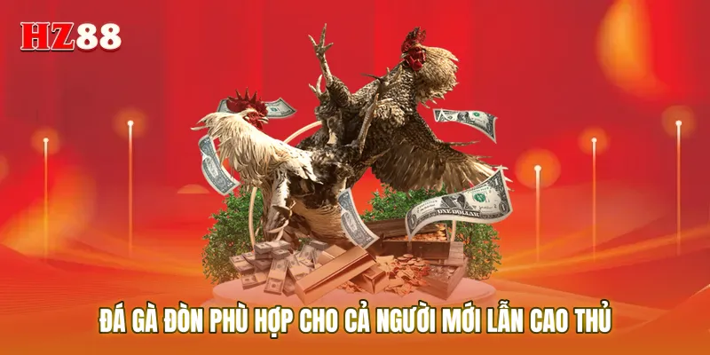 Đá gà đòn phù hợp cho cả người mới lẫn cao thủ muốn chơi chắc tay