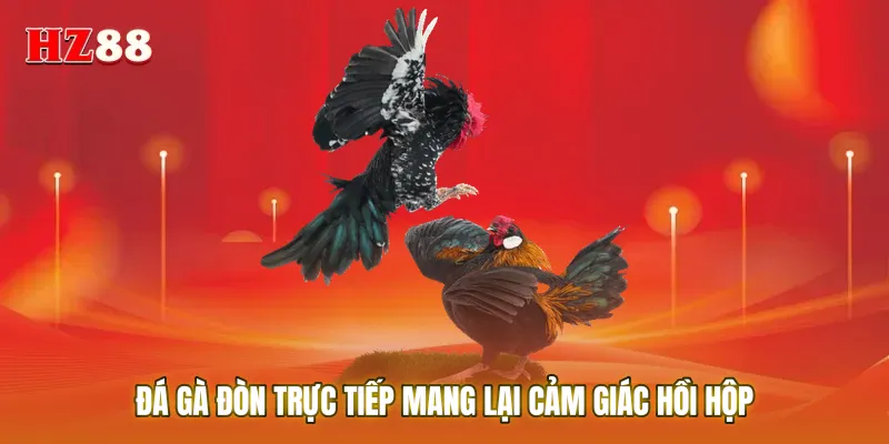 Đá gà đòn trực tiếp mang lại cảm giác hồi hộp
