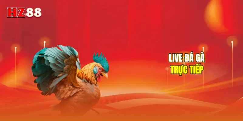 Live đá gà trực tiếp